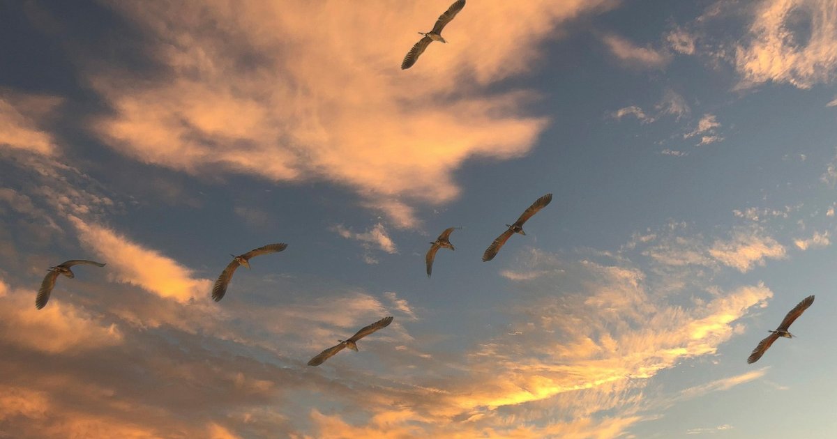 Datenbank-Migration - MySQL zu MariaDB und PostgreSQL wechseln