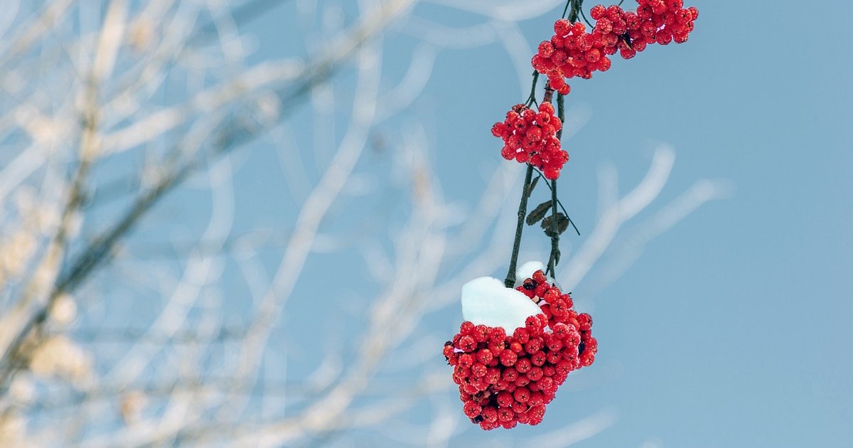 GlusterFS - Verteilter Speicher für Linux-Cluster