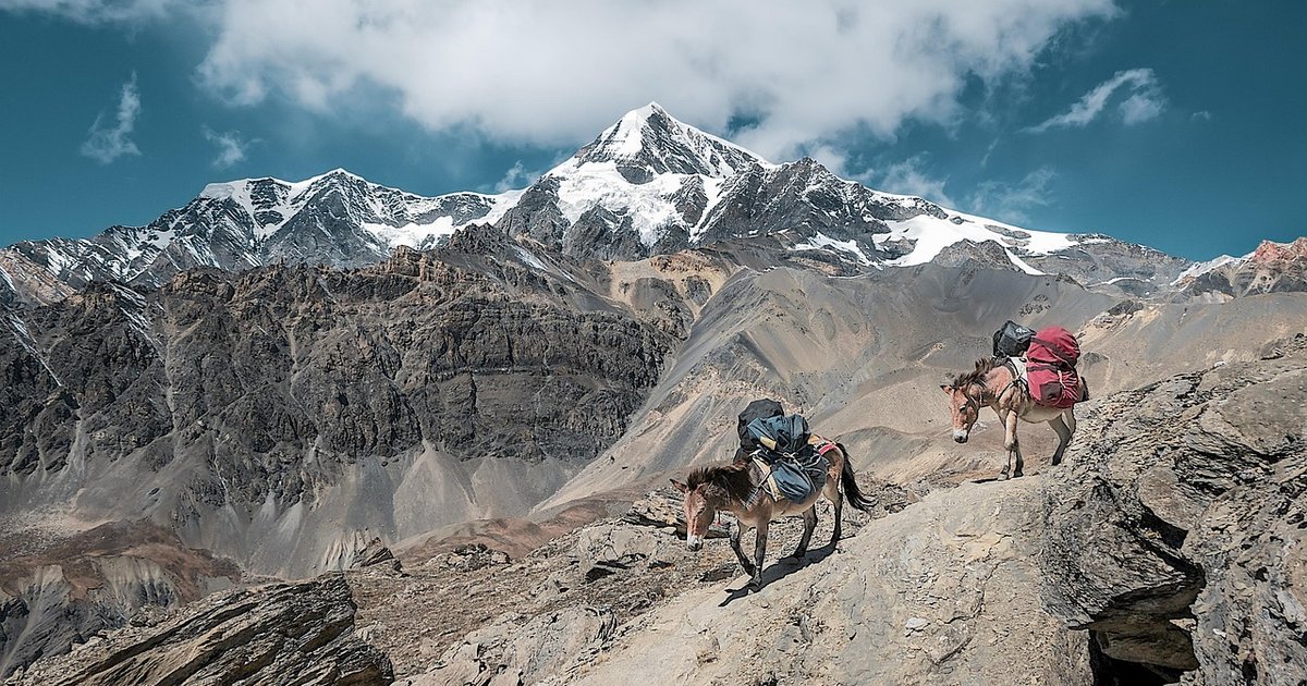 HAProxy Advanced - Load Balancing für Profis