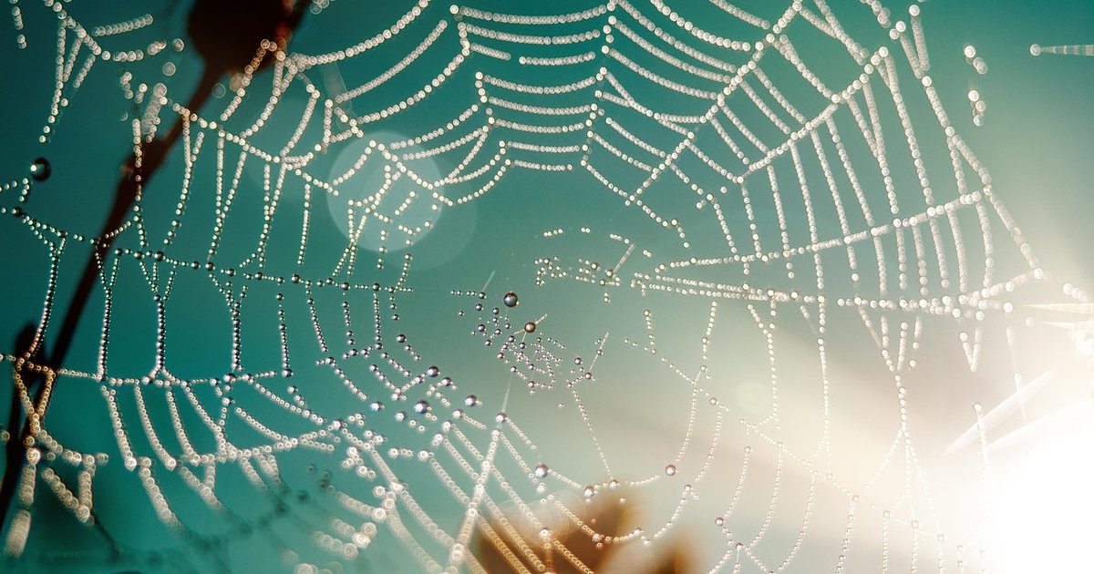 HTTP/2 aktivieren - Schnellere Websites mit Apache und Nginx