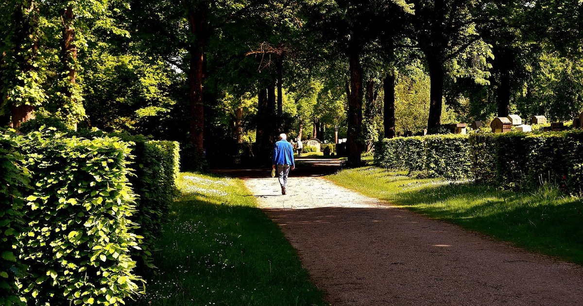 Redis - In-Memory Caching und Datenstrukturen