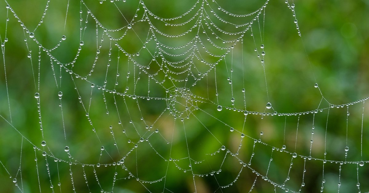 Webmin installieren - Server grafisch verwalten